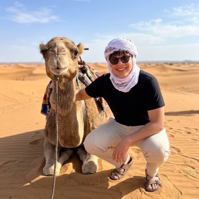 Sahara Camel